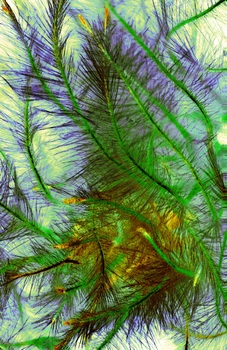 F 011B
